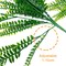 18 Pcs Artificial Ferns Plants Bushes Fake Boston Fern Shrubs Plastic Plant Greenery for Outdoor Indoor Home Garden Décor